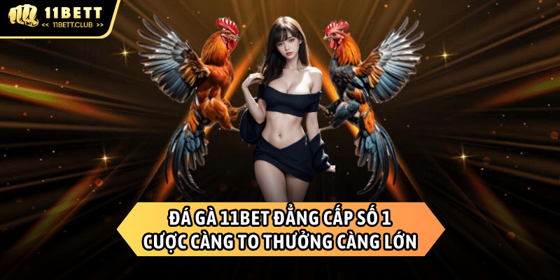 Đá gà 11BET - Sàn cược đẳng cấp nhất Đông Nam Á