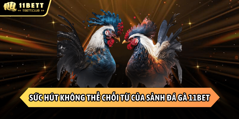 Sức hấp dẫn của sảnh Đá gà 11BET